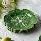 Cabbage Dinner Plate - Set of 4